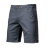 Bermuda Masculina Cetino Torinzi TZ521