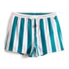 Bermuda Masculina Praia Listrada Torinzi TZ504